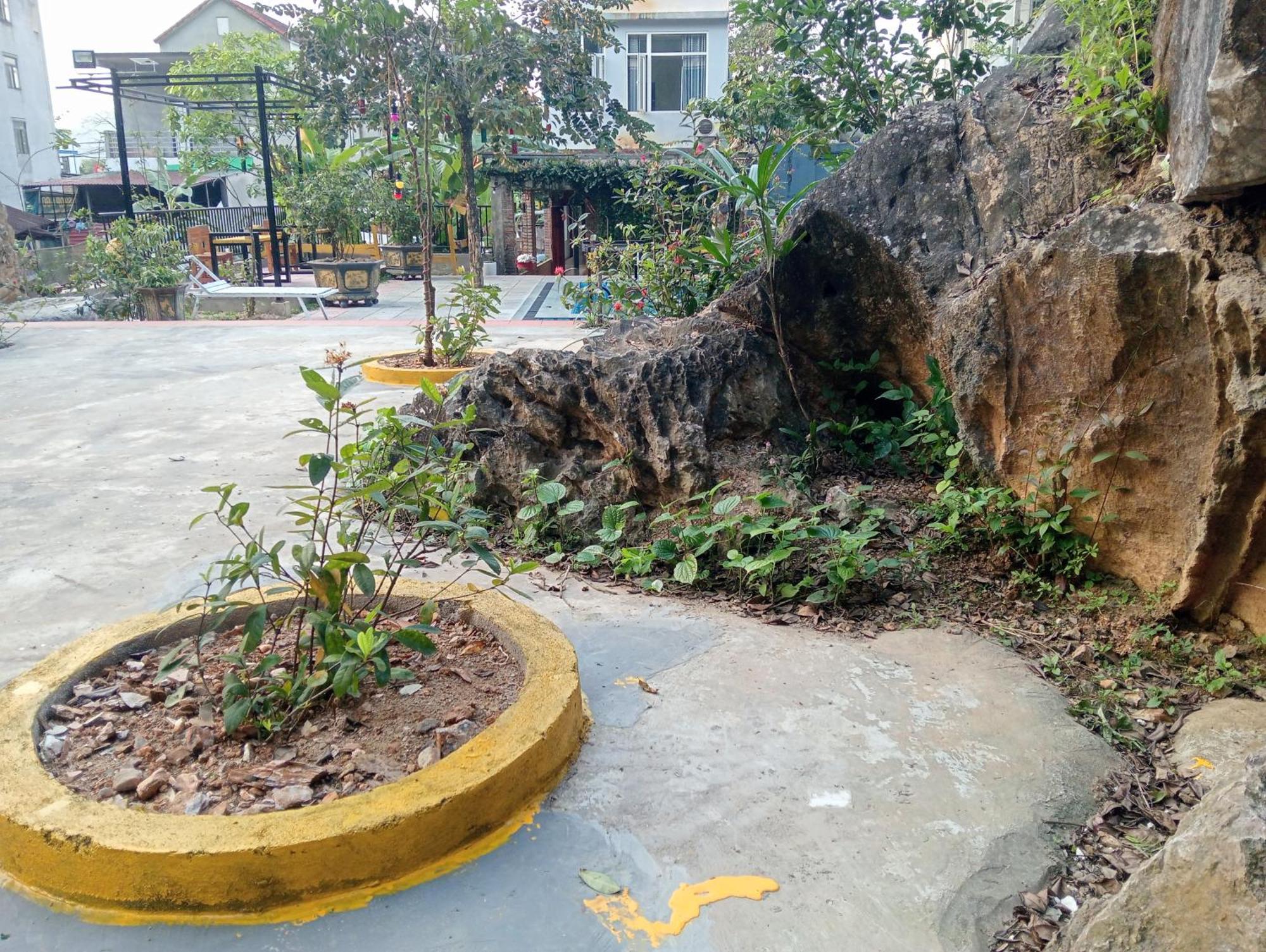 Song Toan Hotel Phong Nha Zewnętrze zdjęcie